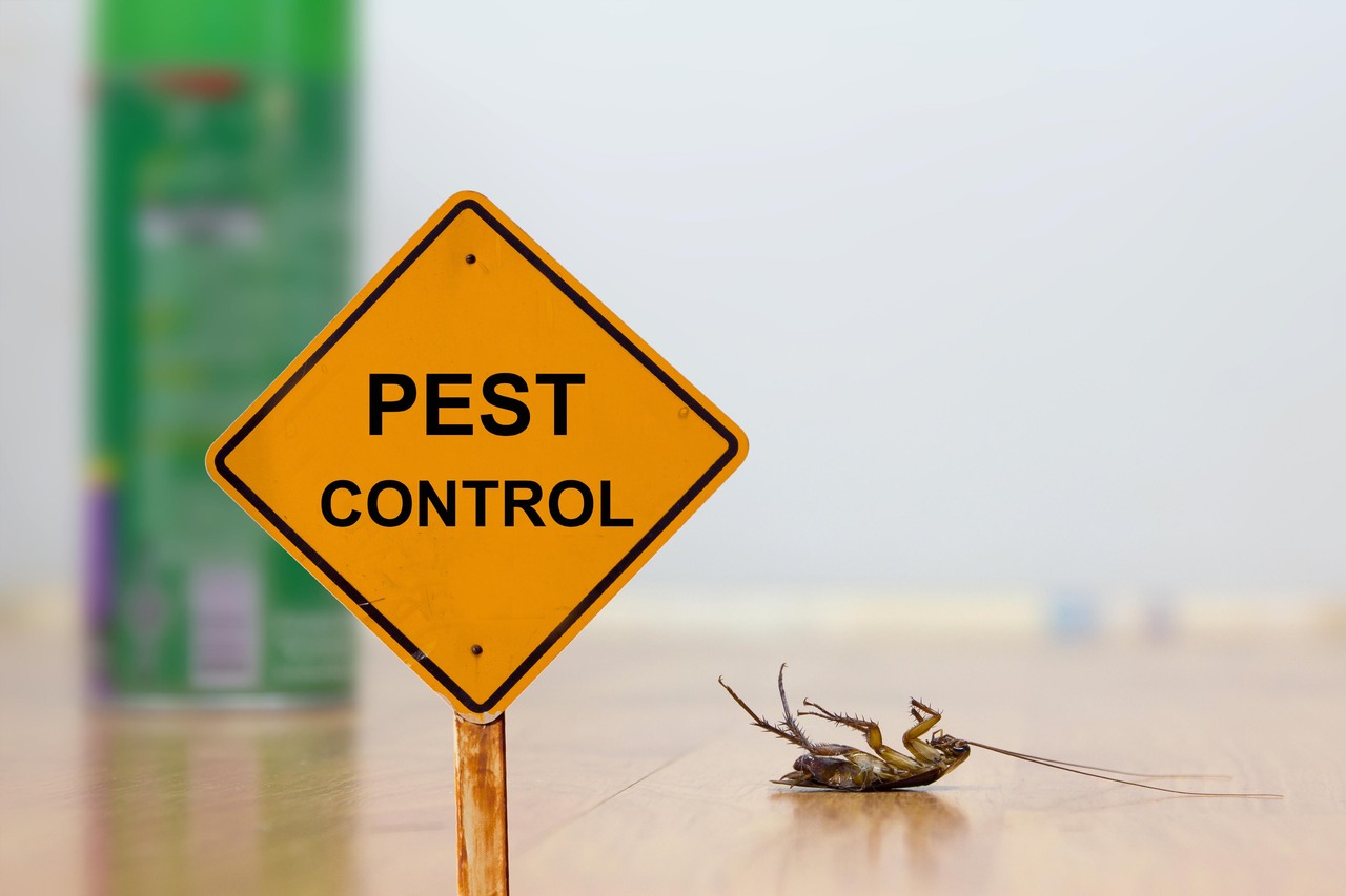 pest control sydney 