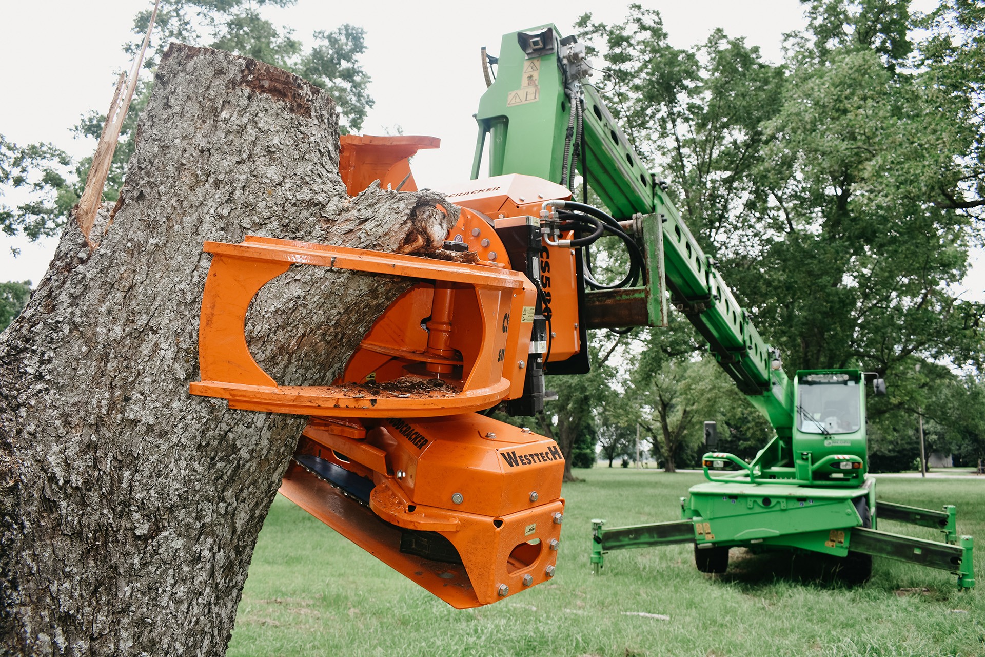 tree removal services near me