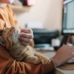Why Cat Mate is the Ultimate Solution for Daily Cat Care